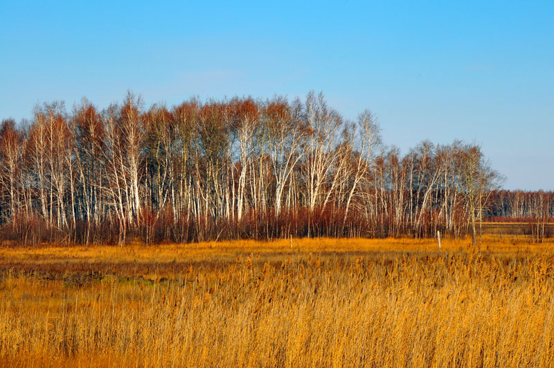 Kazakhstan - Asie Centrale